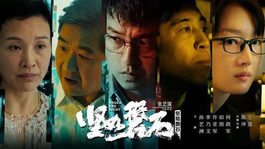 仿制假奥地利护照模板